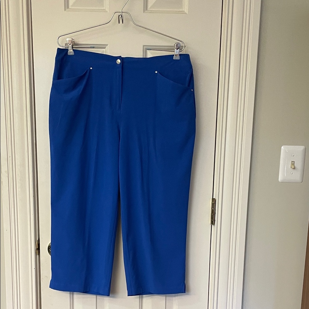 Chico’s Vibrant Blue Pants